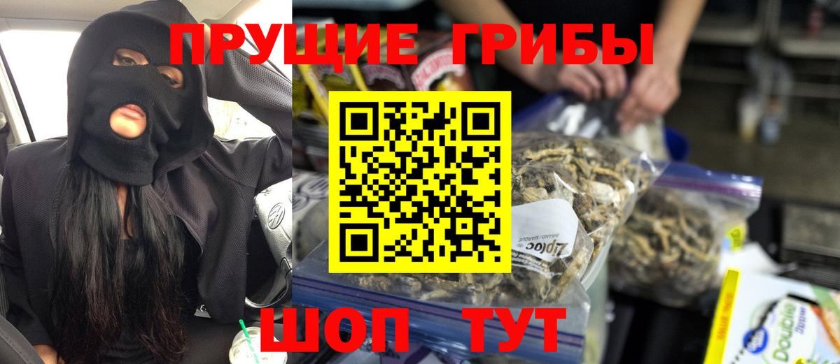 Псилоцибиновые грибы Psilocybe Калач-на-Дону