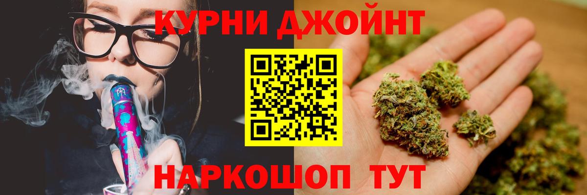 Бошки Шишки планчик Калач-на-Дону
